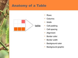 Anatomy of a Table Rows Columns Width Cell padding Cell spacing Alignment Border color Border width Background color Background graphic table 
