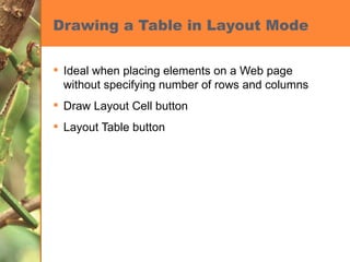 Drawing a Table in Layout Mode Ideal when placing elements on a Web page without specifying number of rows and columns Draw Layout Cell button Layout Table button 