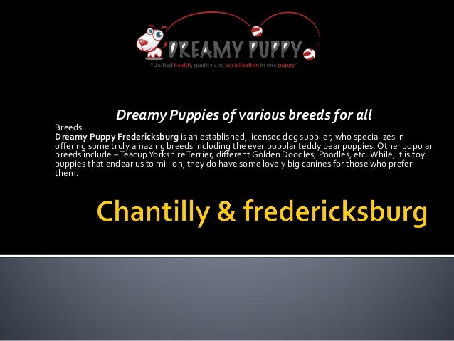 dreamy puppies dreamy puppies chantilly and fredericksburg that you simply can t res dreamy puppies dreamy puppies chantilly and fredericksburg that you simply can t res