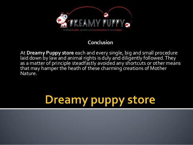 dreamy puppies dreamy puppies chantilly and fredericksburg that you simply can t res dreamy puppies dreamy puppies chantilly and fredericksburg that you simply can t res
