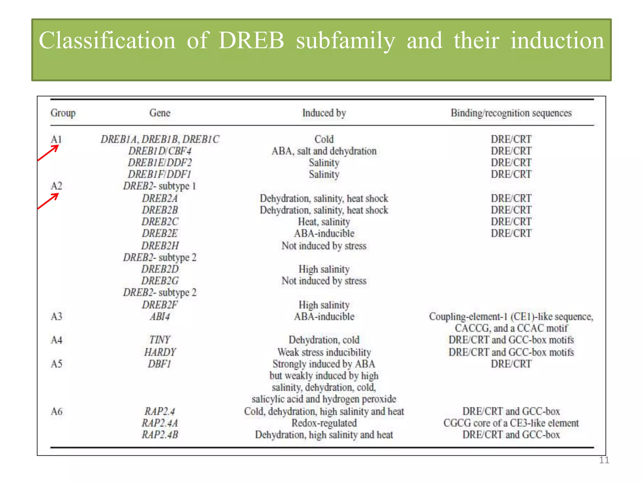 Classification of DREB subfamily and their induction
11
 
