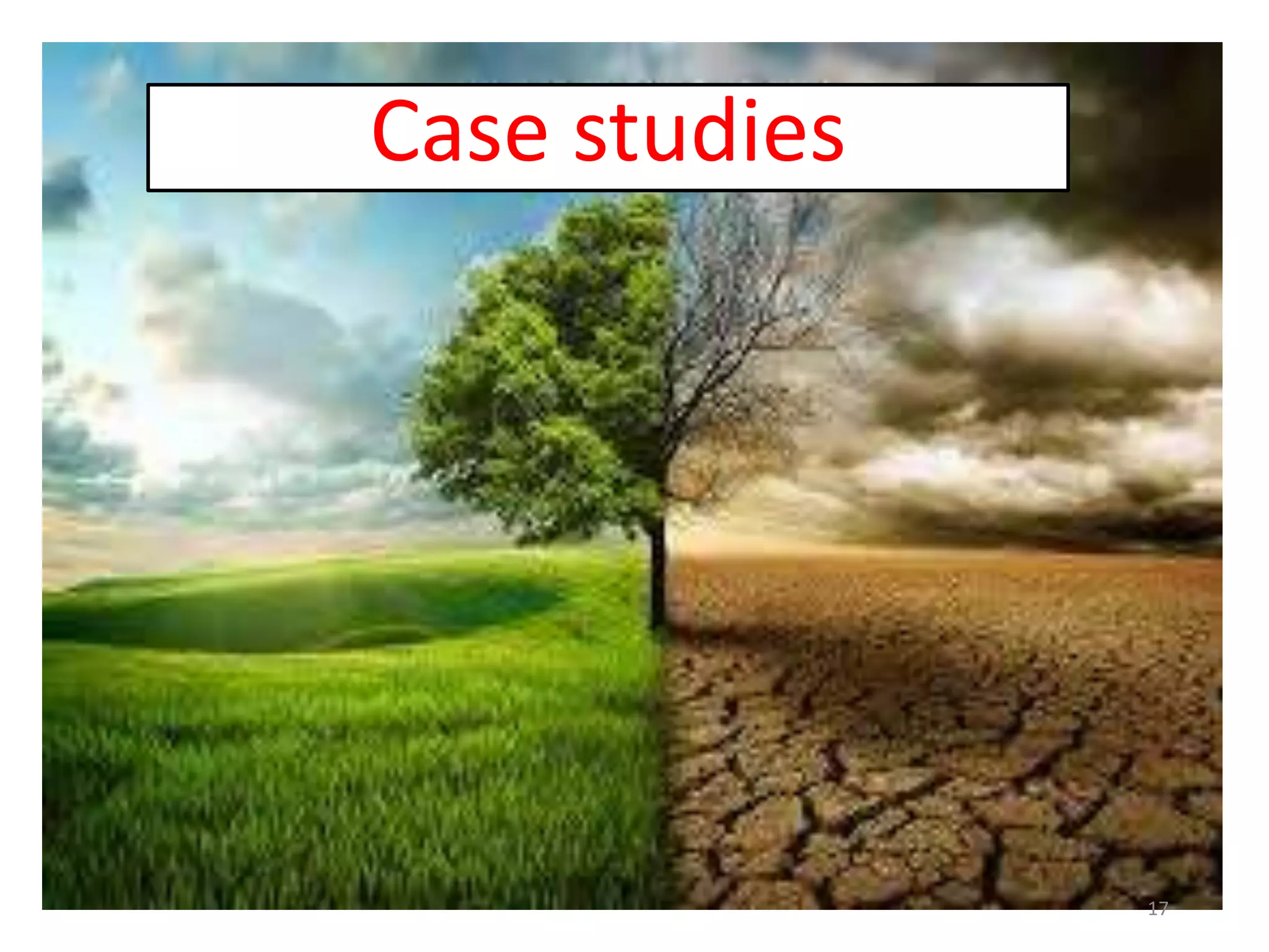 Case studies
17
 