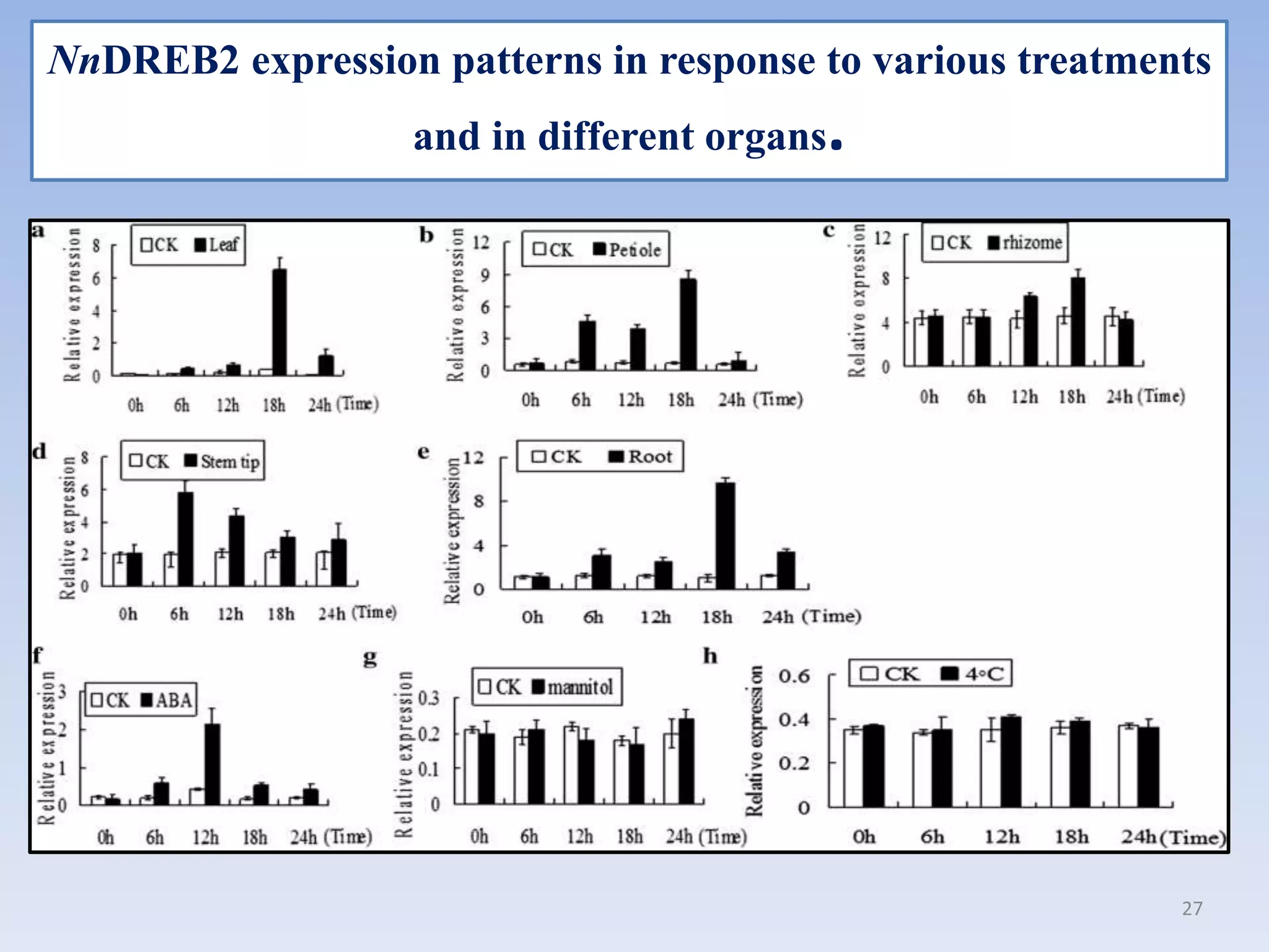 NnDREB2 expression patterns in response to various treatments
and in different organs.
27
 