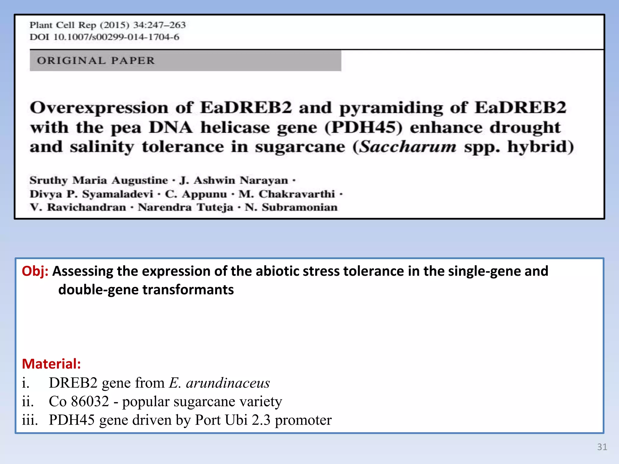 Obj: Assessing the expression of the abiotic stress tolerance in the single-gene and
double-gene transformants
Material:
i. DREB2 gene from E. arundinaceus
ii. Co 86032 - popular sugarcane variety
iii. PDH45 gene driven by Port Ubi 2.3 promoter
31
 