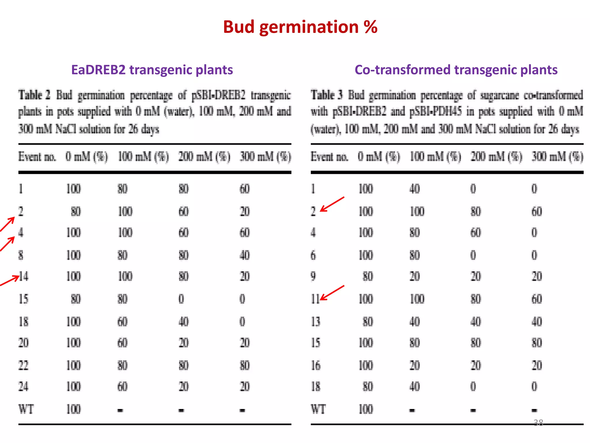 Bud germination %
EaDREB2 transgenic plants Co-transformed transgenic plants
38
 