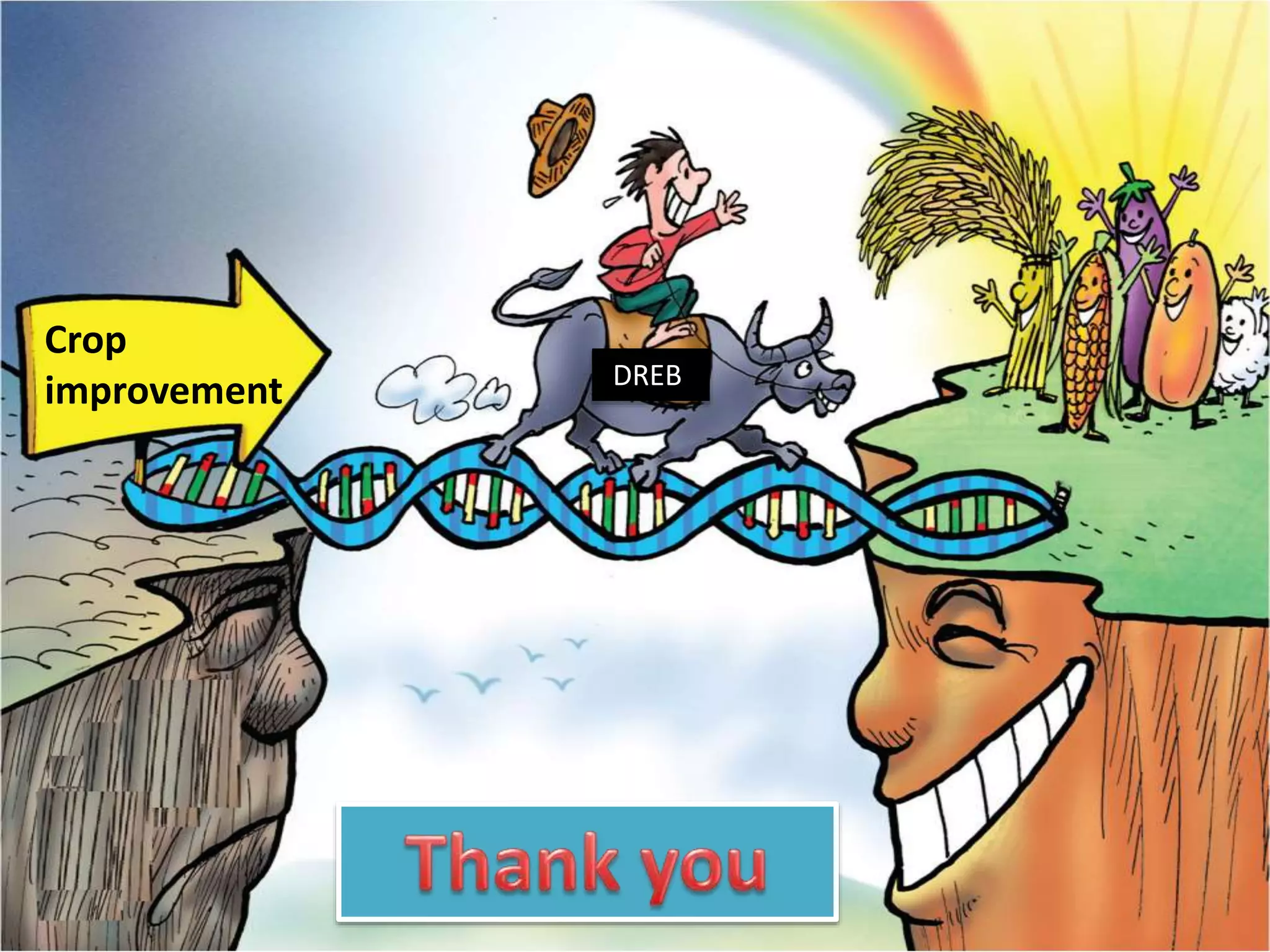49
Crop
improvement DREB
 