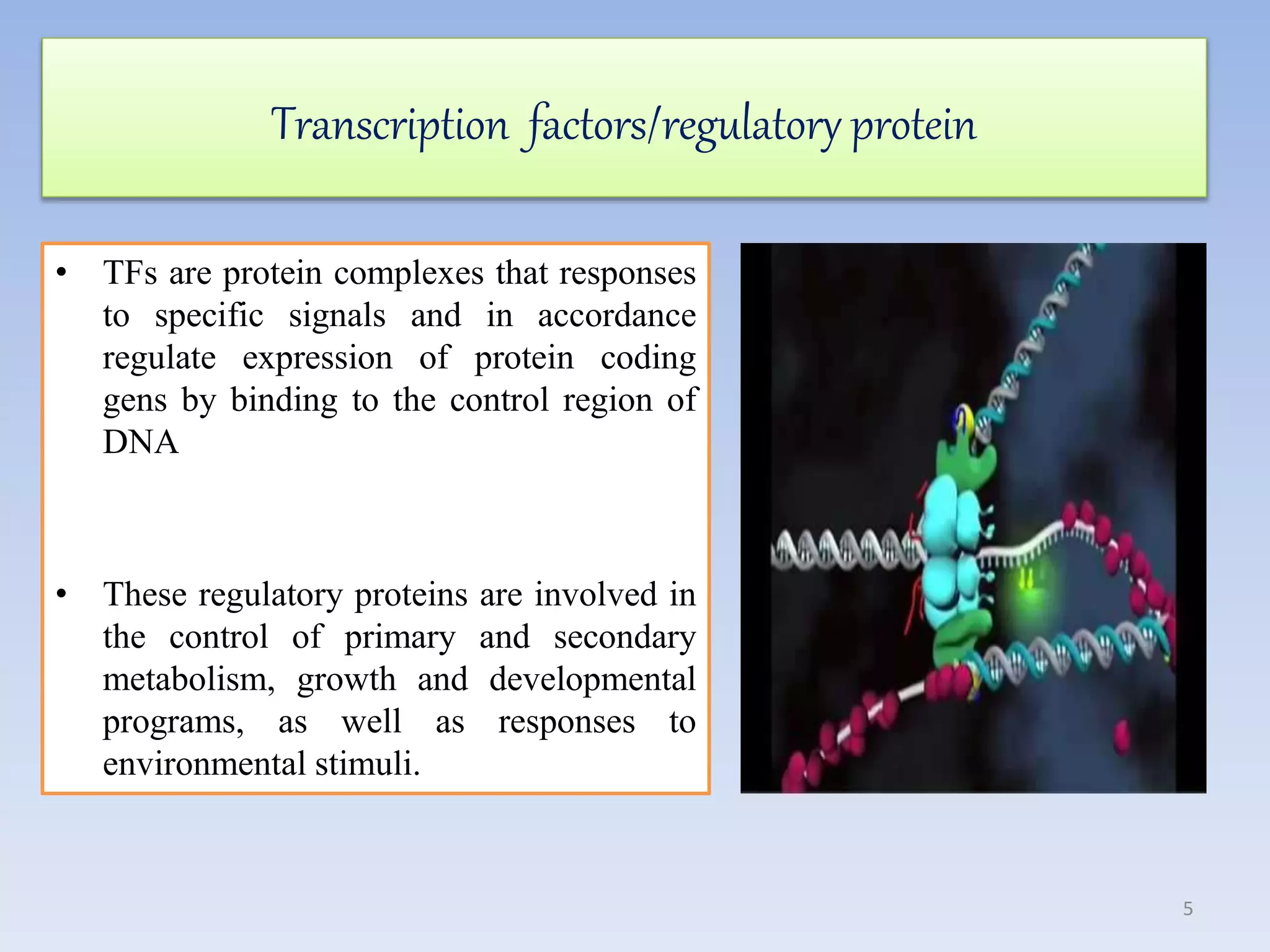Transcription factors/regulatory protein
• TFs are protein complexes that responses
to specific signals and in accordance
regulate expression of protein coding
gens by binding to the control region of
DNA
• These regulatory proteins are involved in
the control of primary and secondary
metabolism, growth and developmental
programs, as well as responses to
environmental stimuli.
5
 