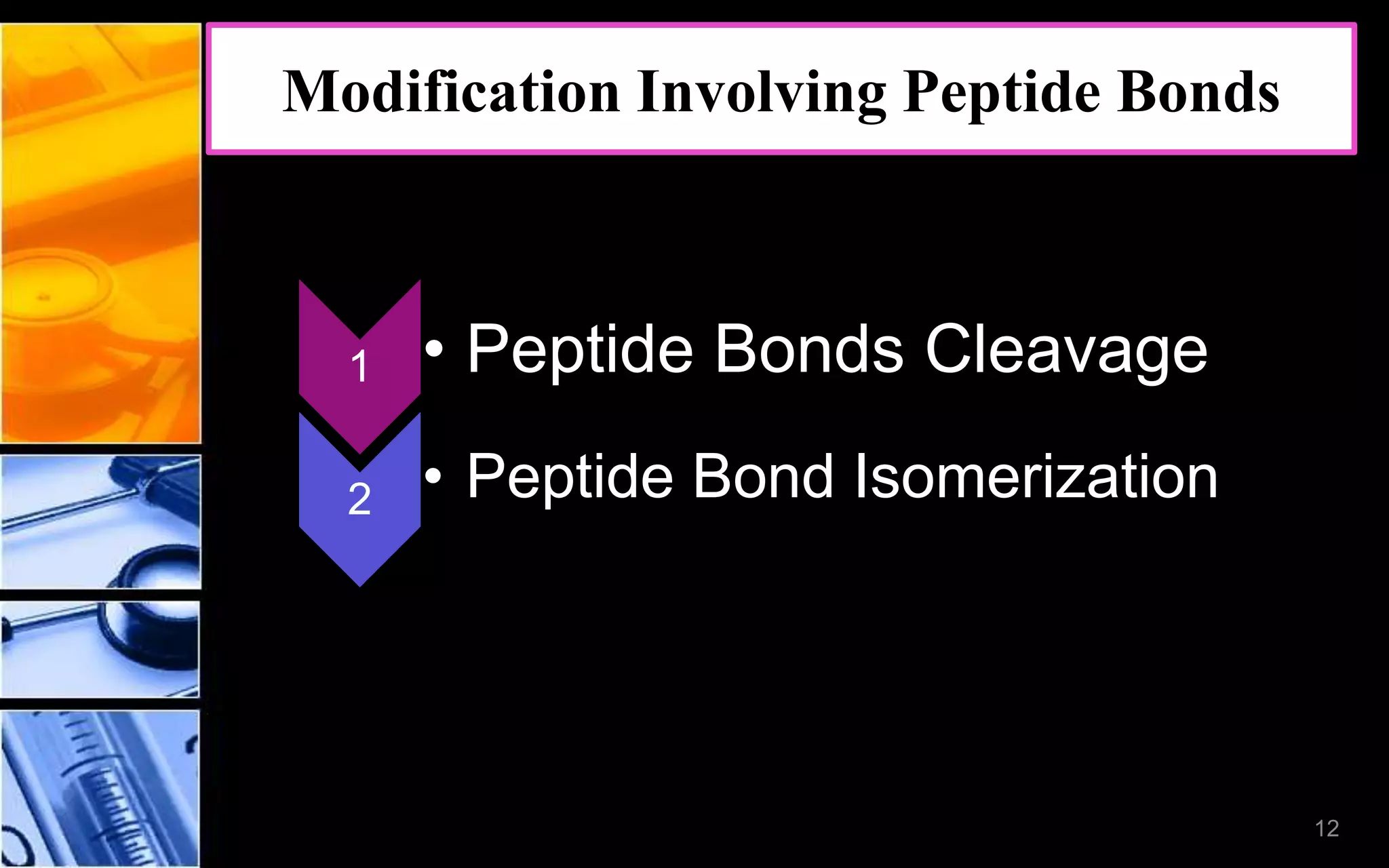 Modification Involving Peptide Bonds
1 • Peptide Bonds Cleavage
2 • Peptide Bond Isomerization
12
 