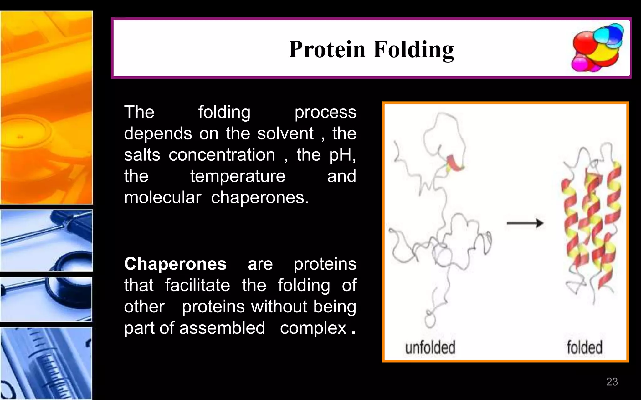 23
Protein Folding
The folding process
depends on the solvent , the
salts concentration , the pH,
the temperature and
molecular chaperones.
Chaperones are proteins
that facilitate the folding of
other proteins without being
part of assembled complex .
 