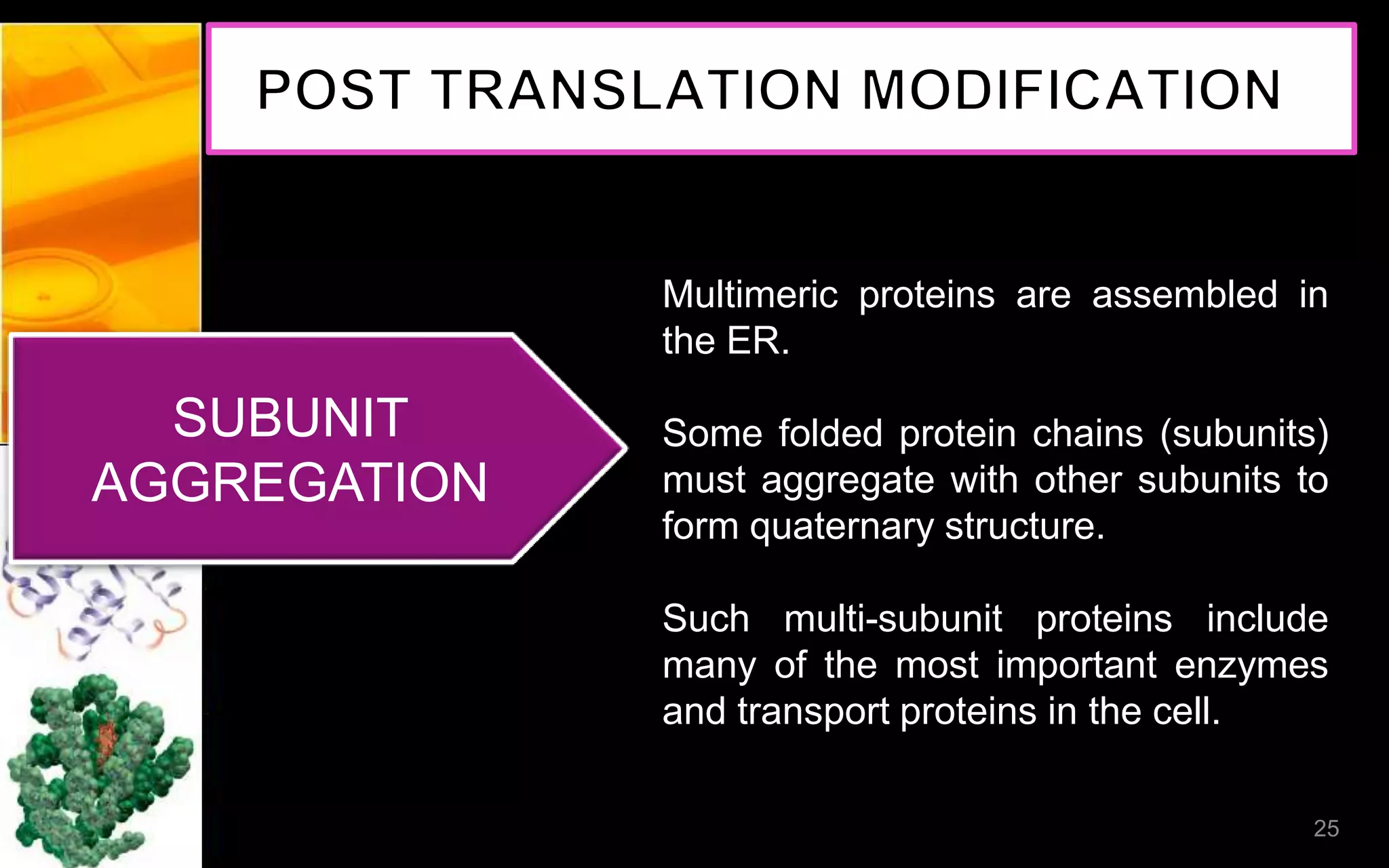 SUBUNIT
AGGREGATION
Multimeric proteins are assembled in
the ER.
Some folded protein chains (subunits)
must aggregate with other subunits to
form quaternary structure.
Such multi-subunit proteins include
many of the most important enzymes
and transport proteins in the cell.
25
 
