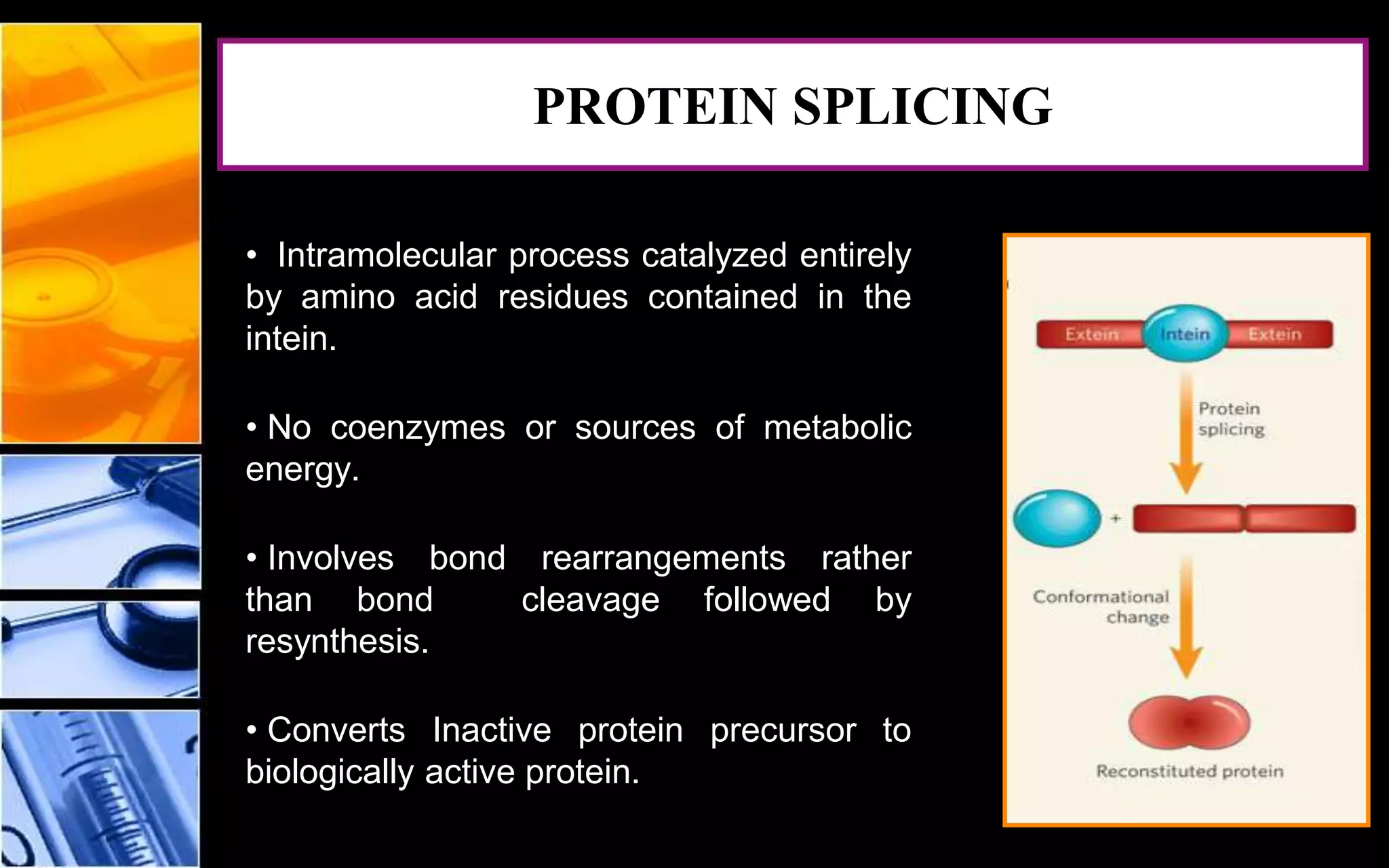 • Intramolecular process catalyzed entirely
by amino acid residues contained in the
intein.
• No coenzymes or sources of metabolic
energy.
• Involves bond rearrangements rather
than bond cleavage followed by
resynthesis.
• Converts Inactive protein precursor to
biologically active protein.
PROTEIN SPLICING
 