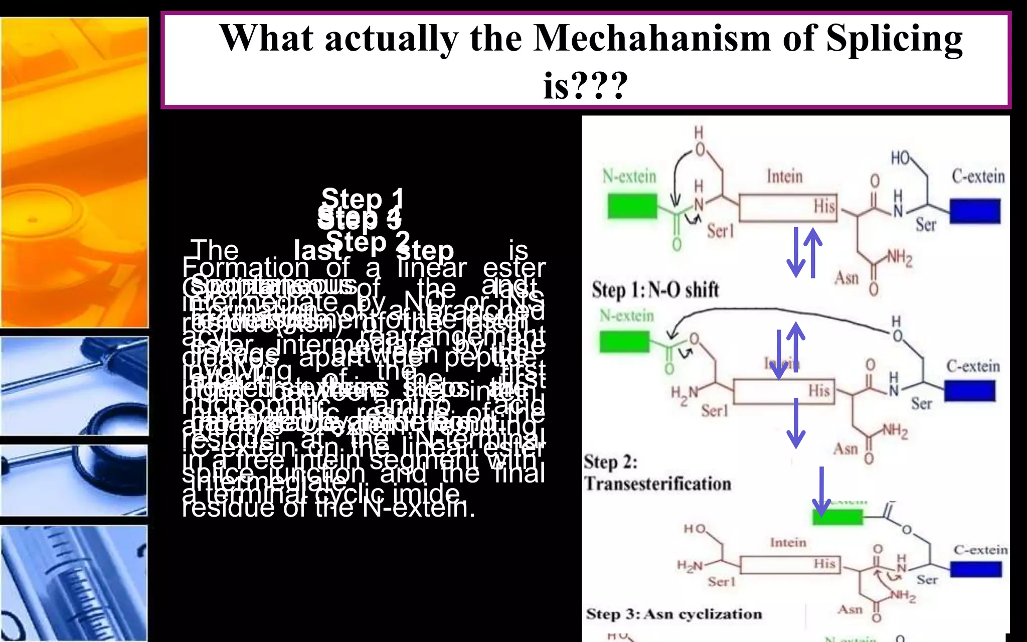 30
Step 1
Formation of a linear ester
intermediate by NO or NS
acyl rearrangement
involving the first
nucleophilic amino acid
residue at the N-terminal
splice junction and the final
residue of the N-extein.
Step 2
Formation of a branched
ester intermediate by the
attack of the first
nucleophilic residue of the
C-extein on the linear ester
intermediate.
Step 3
Cyclization of the last
residue(Asn) of the intein,
cleaves apart the peptide
bond between the intein
and the C-extein, resulting
in a free intein segment with
a terminal cyclic imide.
Step 4
Spontaneous
rearrangement of the ester
linkage between the
ligated exteins to the
more stable amide bond.
The last step is
spontaneous and
irreversible.
The first three steps are
catalyzed by the intein.
What actually the Mechahanism of Splicing
is???
 