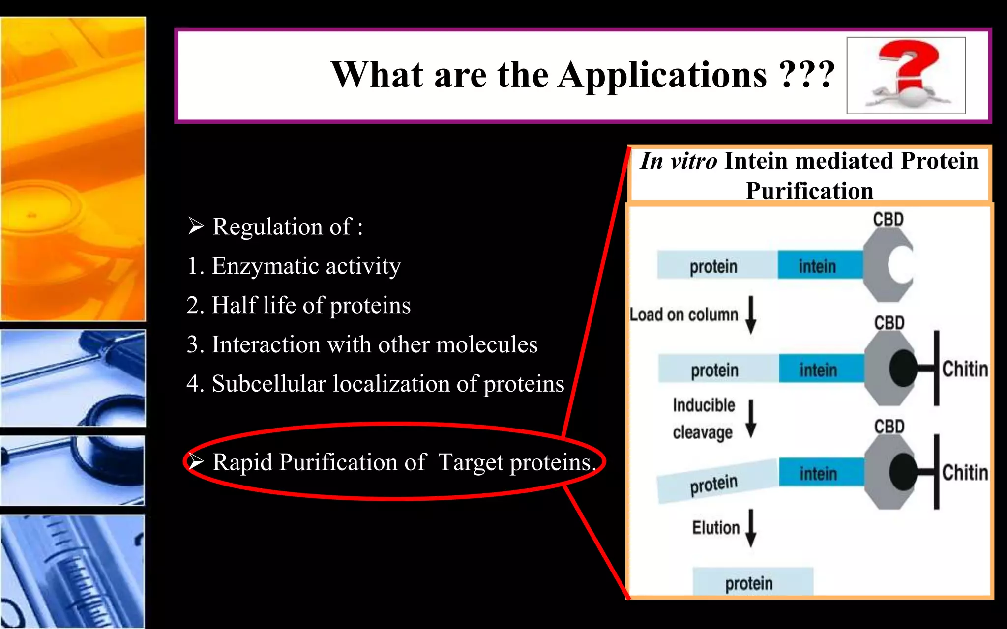  Regulation of :
1. Enzymatic activity
2. Half life of proteins
3. Interaction with other molecules
4. Subcellular localization of proteins
 Rapid Purification of Target proteins.
In vitro Intein mediated Protein
Purification
What are the Applications ???
 