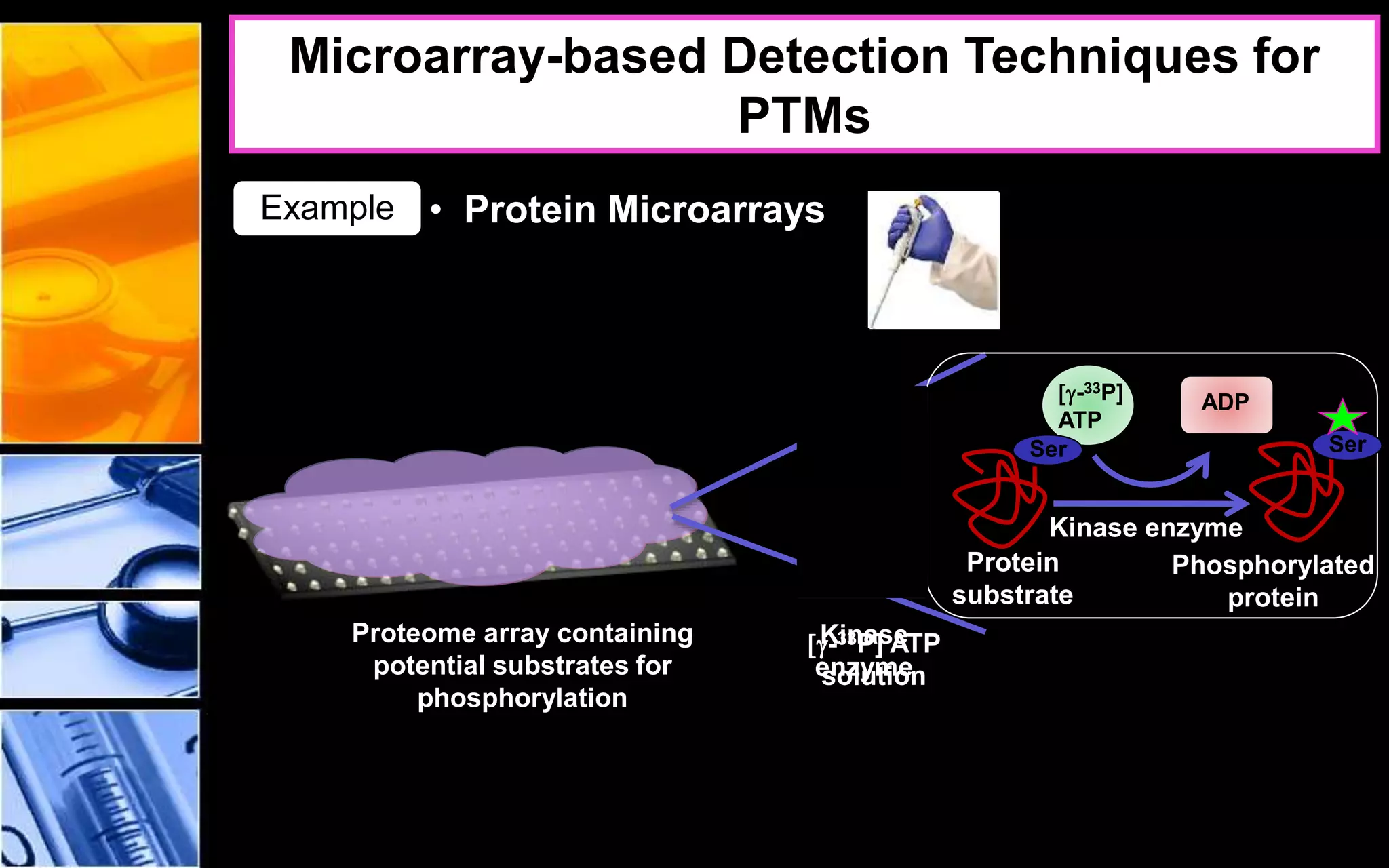 Proteome array containing
potential substrates for
phosphorylation
Kinase
enzyme
[g-33P] ATP
solution
Protein
substrate
Kinase enzyme
[g-33P]
ATP
ADP
Ser
Phosphorylated
protein
Ser
Microarray-based Detection Techniques for
PTMs
• Protein MicroarraysExample
 