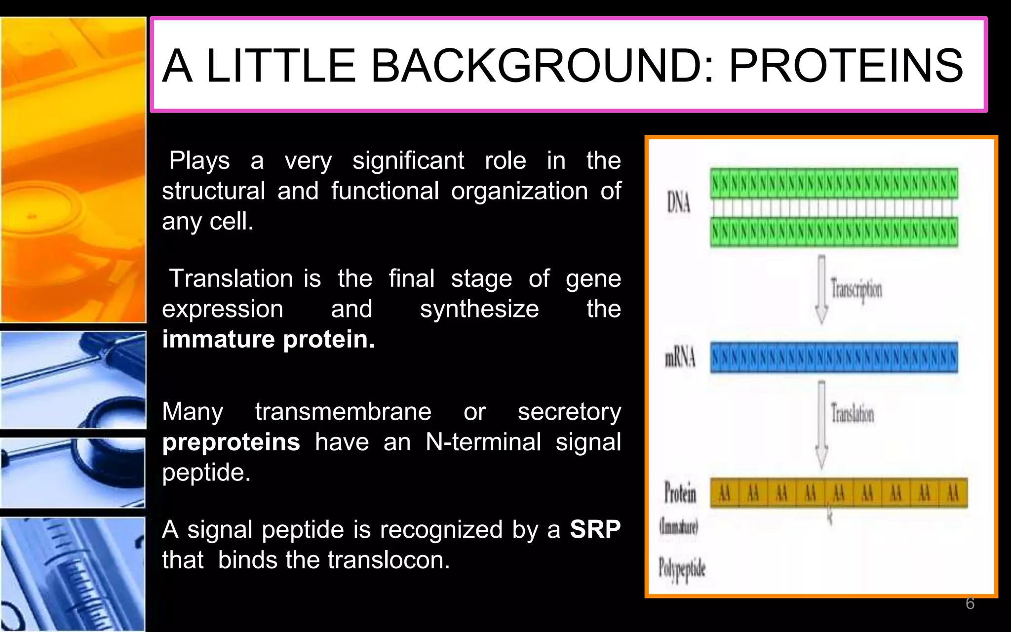 A LITTLE BACKGROUND: PROTEINS
Plays a very significant role in the
structural and functional organization of
any cell.
Translation is the final stage of gene
expression and synthesize the
immature protein.
Many transmembrane or secretory
preproteins have an N-terminal signal
peptide.
A signal peptide is recognized by a SRP
that binds the translocon.
6
 