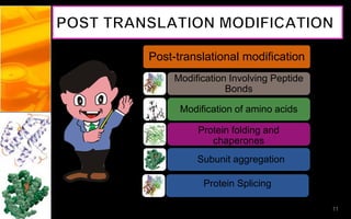 Post-translational modification
Modification Involving Peptide
Bonds
Modification of amino acids
Subunit aggregation
Protein folding and
chaperones
11
Protein Splicing
 