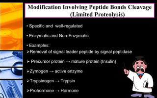 13
• Specific and well-regulated
• Enzymatic and Non-Enzymatic
• Examples:
Removal of signal leader peptide by signal peptidase
 Precursor protein → mature protein (Insulin)
Zymogen → active enzyme
Trypsinogen → Trypsin
Prohormone → Hormone
Modification Involving Peptide Bonds Cleavage
(Limited Proteolysis)
13
 