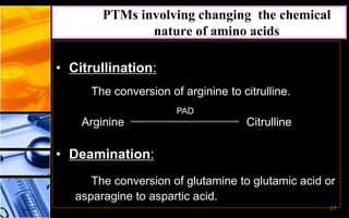 • Citrullination:
The conversion of arginine to citrulline.
Arginine Citrulline
• Deamination:
The conversion of glutamine to glutamic acid or
asparagine to aspartic acid.
PTMs involving changing the chemical
nature of amino acids
21
PAD
 