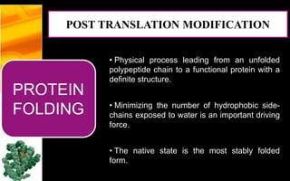 PROTEIN
FOLDING
• Physical process leading from an unfolded
polypeptide chain to a functional protein with a
definite structure.
• Minimizing the number of hydrophobic side-
chains exposed to water is an important driving
force.
• The native state is the most stably folded
form.
POST TRANSLATION MODIFICATION
 
