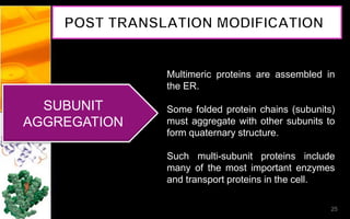 SUBUNIT
AGGREGATION
Multimeric proteins are assembled in
the ER.
Some folded protein chains (subunits)
must aggregate with other subunits to
form quaternary structure.
Such multi-subunit proteins include
many of the most important enzymes
and transport proteins in the cell.
25
 