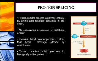 • Intramolecular process catalyzed entirely
by amino acid residues contained in the
intein.
• No coenzymes or sources of metabolic
energy.
• Involves bond rearrangements rather
than bond cleavage followed by
resynthesis.
• Converts Inactive protein precursor to
biologically active protein.
PROTEIN SPLICING
 