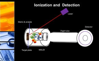 37
Matrix & analyte
Target plate
Detector
Flight tube
MALDI
Laser
Ionization and Detection
 