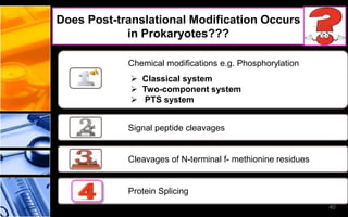 40
Does Post-translational Modification Occurs
in Prokaryotes???
Chemical modifications e.g. Phosphorylation
 Classical system
 Two-component system
 PTS system
Signal peptide cleavages
Cleavages of N-terminal f- methionine residues
Protein Splicing
 