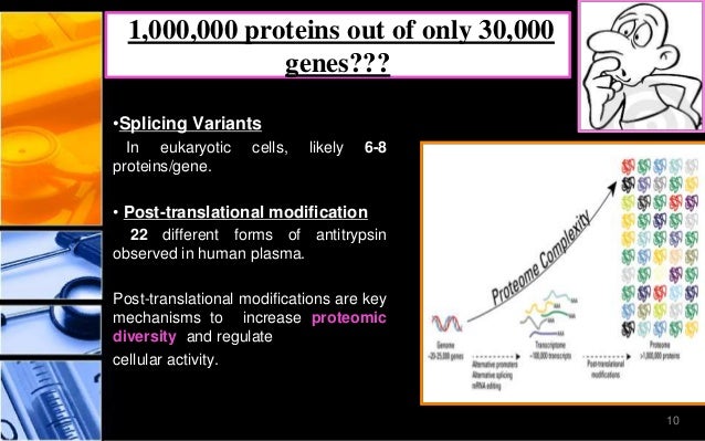 post translational modifications post translational modification