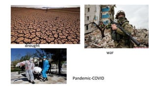drought
war
Pandemic-COVID
 