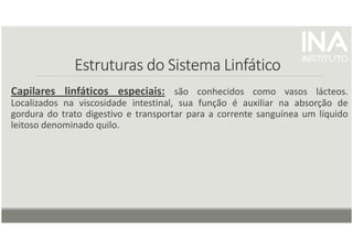 Estruturas do Sistema Linfático
Estruturas do Sistema Linfático
Estruturas do Sistema Linfático
Estruturas do Sistema Linfático
Capilares linfáticos especiais: são conhecidos como vasos lácteos.
Localizados na viscosidade intestinal, sua função é auxiliar na absorção de
gordura do trato digestivo e transportar para a corrente sanguínea um líquido
leitoso denominado quilo.
 
