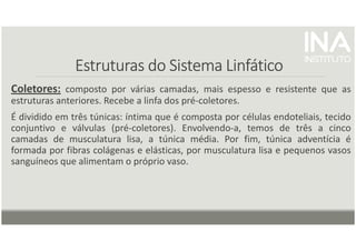 Estruturas do Sistema Linfático
Estruturas do Sistema Linfático
Estruturas do Sistema Linfático
Estruturas do Sistema Linfático
Coletores: composto por várias camadas, mais espesso e resistente que as
estruturas anteriores. Recebe a linfa dos pré-coletores.
É dividido em três túnicas: íntima que é composta por células endoteliais, tecido
conjuntivo e válvulas (pré-coletores). Envolvendo-a, temos de três a cinco
camadas de musculatura lisa, a túnica média. Por fim, túnica adventícia é
formada por fibras colágenas e elásticas, por musculatura lisa e pequenos vasos
sanguíneos que alimentam o próprio vaso.
 
