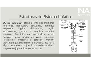 Estruturas do Sistema Linfático
Estruturas do Sistema Linfático
Estruturas do Sistema Linfático
Estruturas do Sistema Linfático
Ducto torácico: drena a linfa dos membros
inferiores, hemicorpo esquerdo, hemiface
esquerda, órgãos abdominais, região
lombossacra, glúteos e membro superior
esquerdo. Tem início na cisterna do quilo (ou
Pecquet), pela junção de vários coletores
(intestinais, lombares e torácico inferior),
prossegue paralelamente à clavícula, faz uma
alça e desemboca na junção das veias subclávia
esquerda e jugular interna esquerda.
 