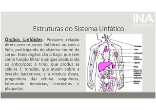 Estruturas do Sistema Linfático
Estruturas do Sistema Linfático
Estruturas do Sistema Linfático
Estruturas do Sistema Linfático
Órgãos Linfóides: Possuem relação
direta com os vasos linfáticos ou com a
linfa, participando do sistema imune do
corpo. Estes órgãos são o baço, que tem
como função filtrar o sangue produzindo
os anticorpos; o timo, que produz as
células T; tonsilas, que atuam sobre a
invasão bacteriana; e a medula óssea,
progenitora das células sanguíneas,
fabricando hemácias, leucócitos e
plaquetas.
 