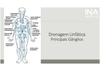 Drenagem
Drenagem
Drenagem
Drenagem Linfática
Linfática
Linfática
Linfática
Principais Gânglios
Principais Gânglios
Principais Gânglios
Principais Gânglios
 