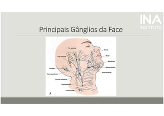 Principais Gânglios
Principais Gânglios
Principais Gânglios
Principais Gânglios da Face
da Face
da Face
da Face
 
