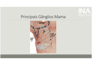 Principais Gânglios
Principais Gânglios
Principais Gânglios
Principais Gânglios Mama
Mama
Mama
Mama
 