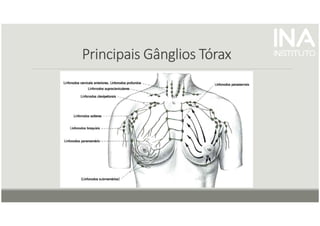 Principais Gânglios
Principais Gânglios
Principais Gânglios
Principais Gânglios Tórax
Tórax
Tórax
Tórax
 