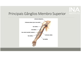 Principais Gânglios Membro
Principais Gânglios Membro
Principais Gânglios Membro
Principais Gânglios Membro Superior
Superior
Superior
Superior
 