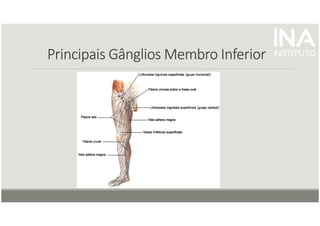 Principais Gânglios Membro Inferior
Principais Gânglios Membro Inferior
Principais Gânglios Membro Inferior
Principais Gânglios Membro Inferior
 