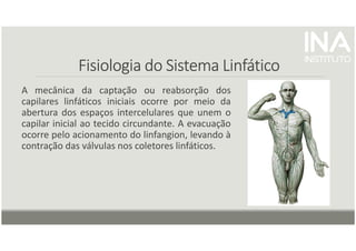 Fisiologia do Sistema Linfático
Fisiologia do Sistema Linfático
Fisiologia do Sistema Linfático
Fisiologia do Sistema Linfático
A mecânica da captação ou reabsorção dos
capilares linfáticos iniciais ocorre por meio da
abertura dos espaços intercelulares que unem o
capilar inicial ao tecido circundante. A evacuação
ocorre pelo acionamento do linfangion, levando à
contração das válvulas nos coletores linfáticos.
 