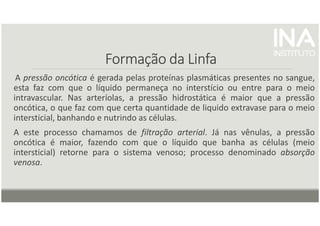 Formação da Linfa
Formação da Linfa
Formação da Linfa
Formação da Linfa
A pressão oncótica é gerada pelas proteínas plasmáticas presentes no sangue,
esta faz com que o líquido permaneça no interstício ou entre para o meio
intravascular. Nas arteríolas, a pressão hidrostática é maior que a pressão
oncótica, o que faz com que certa quantidade de liquido extravase para o meio
intersticial, banhando e nutrindo as células.
A este processo chamamos de filtração arterial. Já nas vênulas, a pressão
oncótica é maior, fazendo com que o líquido que banha as células (meio
intersticial) retorne para o sistema venoso; processo denominado absorção
venosa.
 