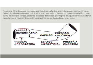 Em geral, a filtração ocorre em maior quantidade em relação a absorção venosa, fazendo com que
“sobre” líquido no meio intersticial. Porém, este desequilíbrio é revertido pelo sistema linfático, que
auxilia na absorção venosa, captando o excesso de líquidos gerado pelo desequilíbrio venoso/arterial,
e conduzindo-o novamente ao sistema sanguíneo, desembocando nas veias cavas.
 
