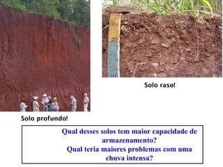 Solo profundo!
Solo raso!
Qual desses solos tem maior capacidade de
armazenamento?
Qual teria maiores problemas com uma
chuva intensa?
 