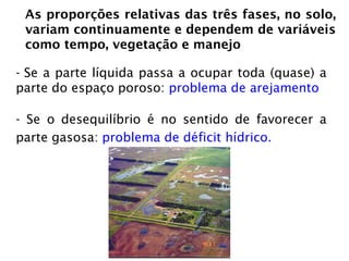 - Se a parte líquida passa a ocupar toda (quase) a
parte do espaço poroso: problema de arejamento
- Se o desequilíbrio é no sentido de favorecer a
parte gasosa: problema de déficit hídrico.
As proporções relativas das três fases, no solo,
variam continuamente e dependem de variáveis
como tempo, vegetação e manejo
 