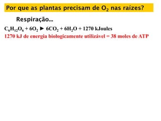 Por que as plantas precisam de O2 nas raízes?
Respiração...
C6H12O6 + 6O2 ► 6CO2 + 6H2O + 1270 kJoules
1270 kJ de energia biologicamente utilizável = 38 moles de ATP
 