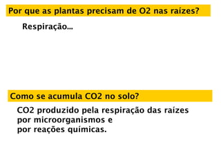 Como se acumula CO2 no solo?
CO2 produzido pela respiração das raízes
por microorganismos e
por reações químicas.
Por que as plantas precisam de O2 nas raízes?
Respiração...
 