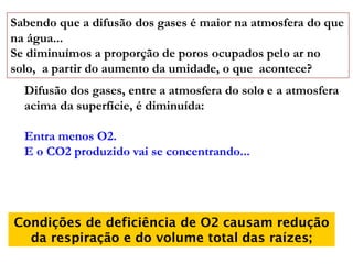 Sabendo que a difusão dos gases é maior na atmosfera do que
na água...
Se diminuímos a proporção de poros ocupados pelo ar no
solo, a partir do aumento da umidade, o que acontece?
Difusão dos gases, entre a atmosfera do solo e a atmosfera
acima da superfície, é diminuída:
Entra menos O2.
E o CO2 produzido vai se concentrando...
Condições de deficiência de O2 causam redução
da respiração e do volume total das raízes;
 