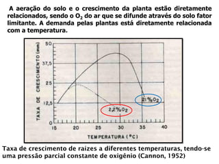 A aeração do solo e o crescimento da planta estão diretamente
relacionados, sendo o O2 do ar que se difunde através do solo fator
limitante. A demanda pelas plantas está diretamente relacionada
com a temperatura.
Taxa de crescimento de raízes a diferentes temperaturas, tendo-se
uma pressão parcial constante de oxigênio (Cannon, 1952)
 