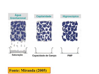 Fonte: Miranda (2005)
 
