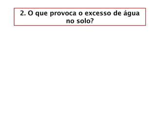2. O que provoca o excesso de água
no solo?
 